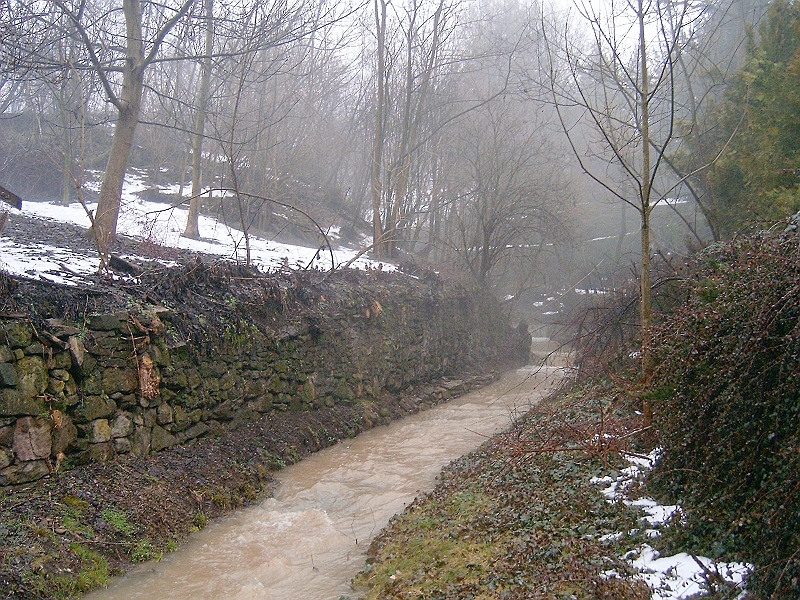 20100220 007.jpg